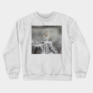 Alpine chipmunk, wildlife, gifts, cute as can be Crewneck Sweatshirt